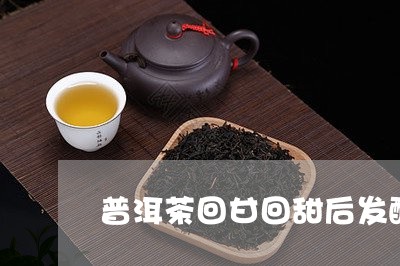 普洱茶回甘回甜后发酸/2023120637352