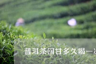 普洱茶回甘多久喝一次/2023112724936