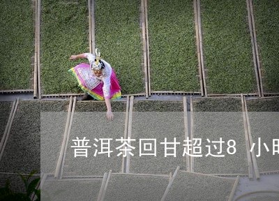 普洱茶回甘超过8小时/2023093005049