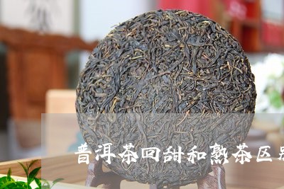 普洱茶回甜和熟茶区别/2023062499258