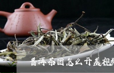 普洱茶团怎么开盖视频教学/2023112515140