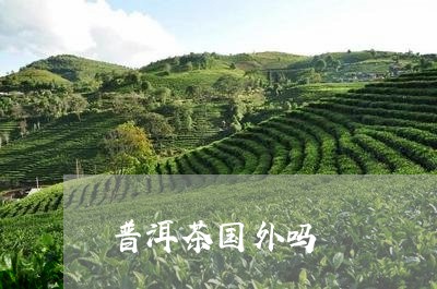 普洱茶国外吗/2023042675844