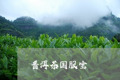 普洱茶国服宝/2023042584855