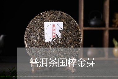 普洱茶国粹金芽/2023081681504