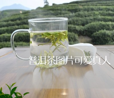 普洱茶图片可爱真人/2023070943935