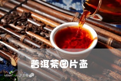 普洱茶图片壶/2023042941018