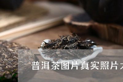 普洱茶图片真实照片大全/2023121669360