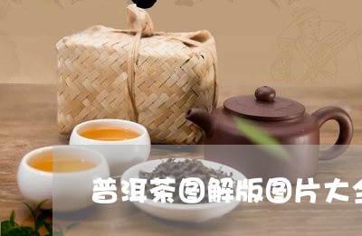 普洱茶图解版图片大全高清/2023112558382