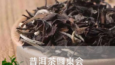 普洱茶圆桌会/2023042759691