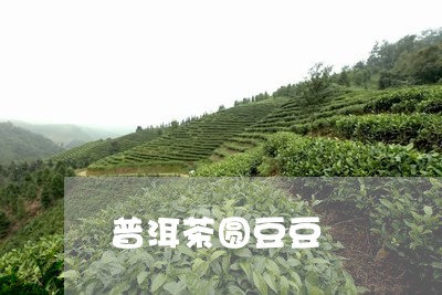 普洱茶圆豆豆/2023042656181