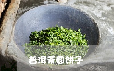 普洱茶圆饼子/2023042802891