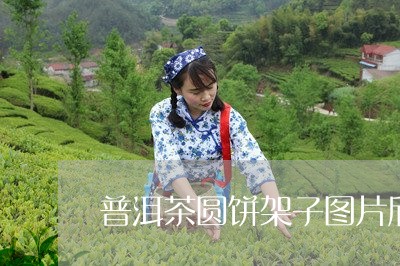 普洱茶圆饼架子图片欣赏/2023121645068