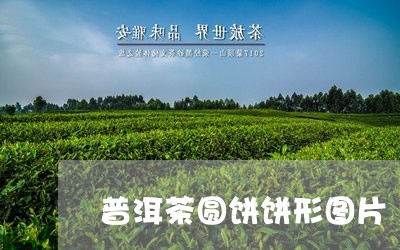 普洱茶圆饼饼形图片/2023120566340