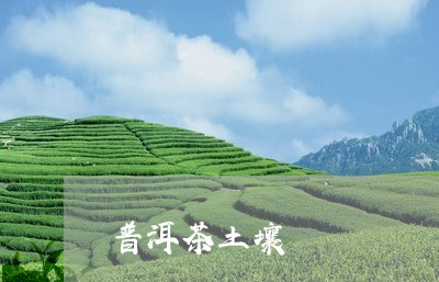 普洱茶土壤/2023090505389