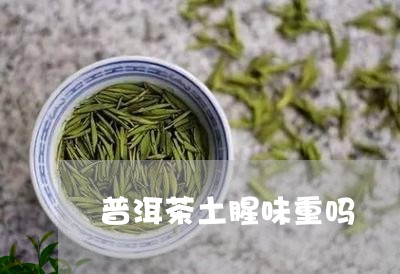 普洱茶土腥味重吗/2023101691593