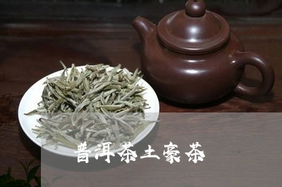 普洱茶土豪茶/2023101618370