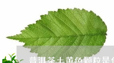 普洱茶土黄色颗粒是什么茶/2023083057069