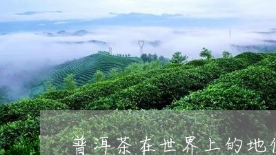 普洱茶在世界上的地位/2023061402803