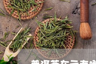 普洱茶在云南哪个城市/2023080216939