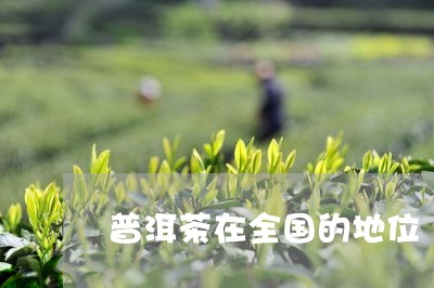 普洱茶在全国的地位/2023101782938