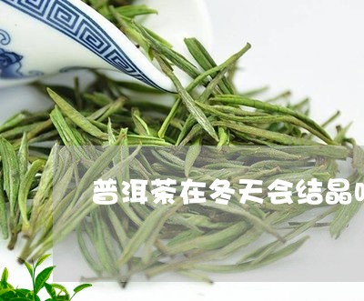 普洱茶在冬天会结晶吗/2023092861716