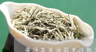 普洱茶在冰箱里还能不能喝/2023051099502