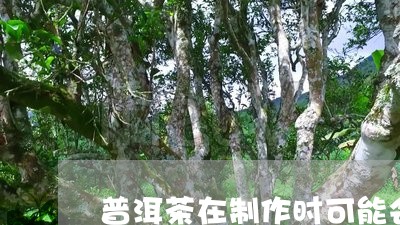 普洱茶在制作时可能会用添加剂吗/2023060355847