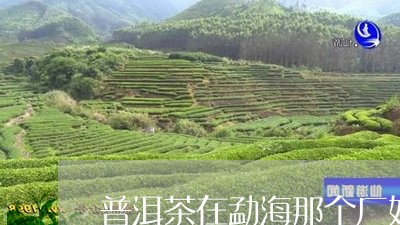 普洱茶在勐海那个厂好一点/2023121639393