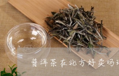 普洱茶在北方好卖吗现在/2023101759380