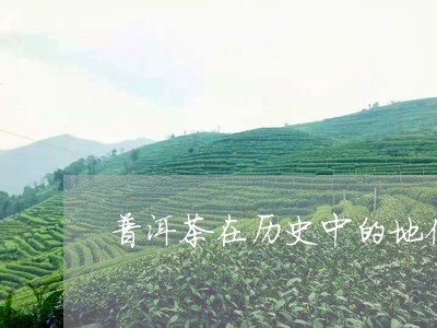 普洱茶在历史中的地位/2023062355837