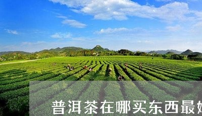 普洱茶在哪买东西最好呢/2023082750504