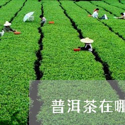 普洱茶在哪买比较放心喝/2023050752584