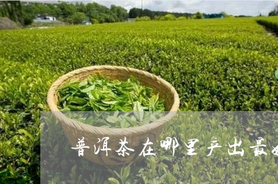 普洱茶在哪里产出最好/2023120622725