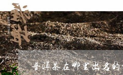 普洱茶在哪里出名的地方/2023121628271