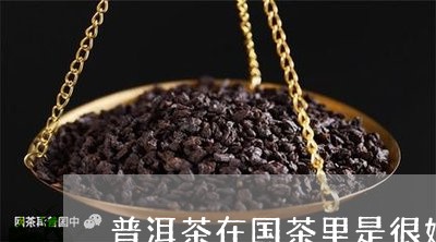 普洱茶在国茶里是很好的/2023120776370