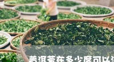 普洱茶在多少度可以泡/2023062861795