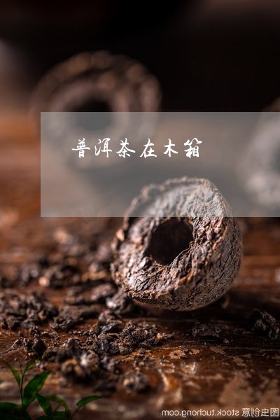 普洱茶在木箱/2023042915328