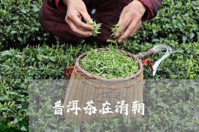 普洱茶在清朝/2023042625668