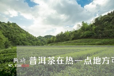 普洱茶在热一点地方可以放吗/2023110406148