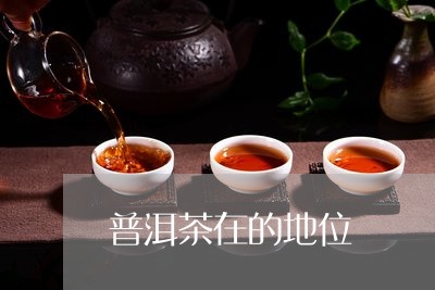 普洱茶在的地位/2023062920603