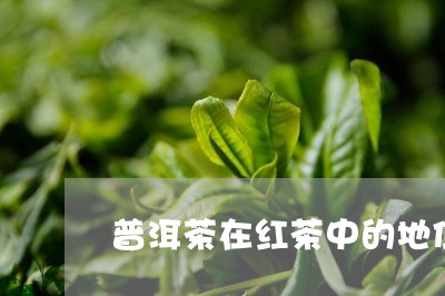 普洱茶在红茶中的地位/2023092886160