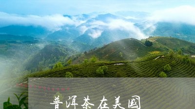 普洱茶在美国/2023042736094