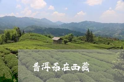 普洱茶在西藏/2023042781857