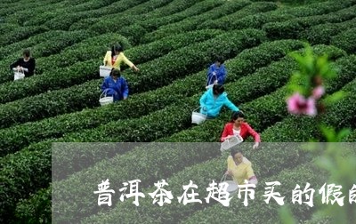 普洱茶在超市买的假的/2023062182696