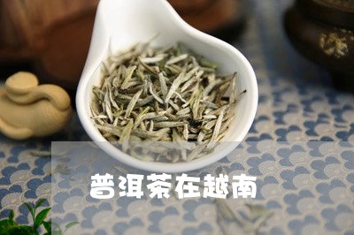 普洱茶在越南/2023042669225