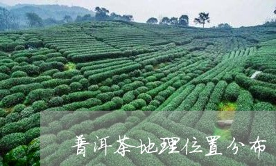 普洱茶地理位置分布/2023083027271