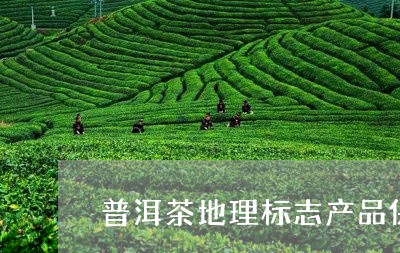 普洱茶地理标志产品保护范围/2023052706259