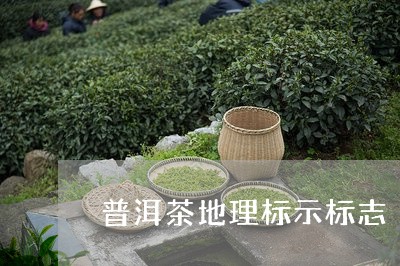 普洱茶地理标示标志/2023071071947