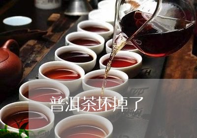 普洱茶坏掉了/2023042737835