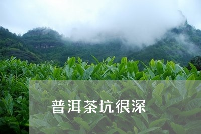 普洱茶坑很深/2023042648117